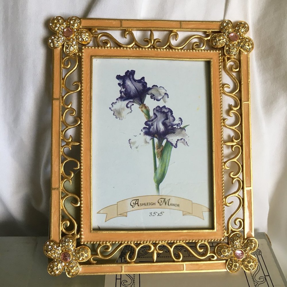 Ashleigh Manor jewel collection picture frame. NIB.